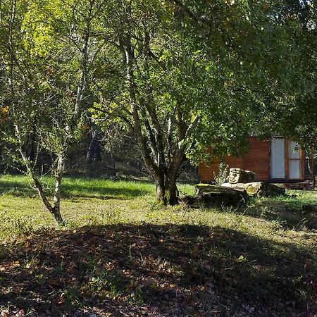 Agricampeggio Madonna Di Pogi Bucine Habitación foto