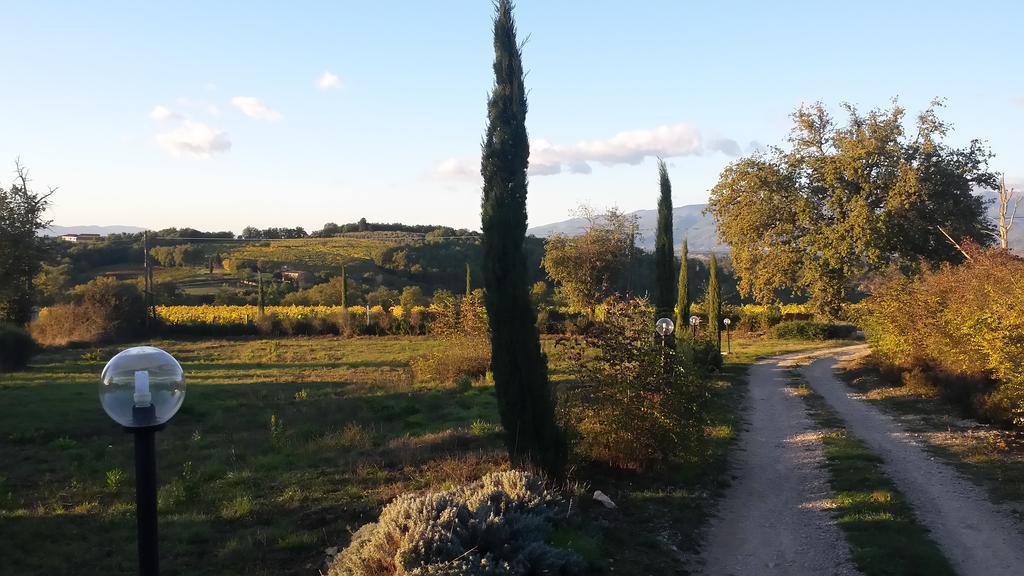 Agricampeggio Madonna Di Pogi Bucine Exterior foto