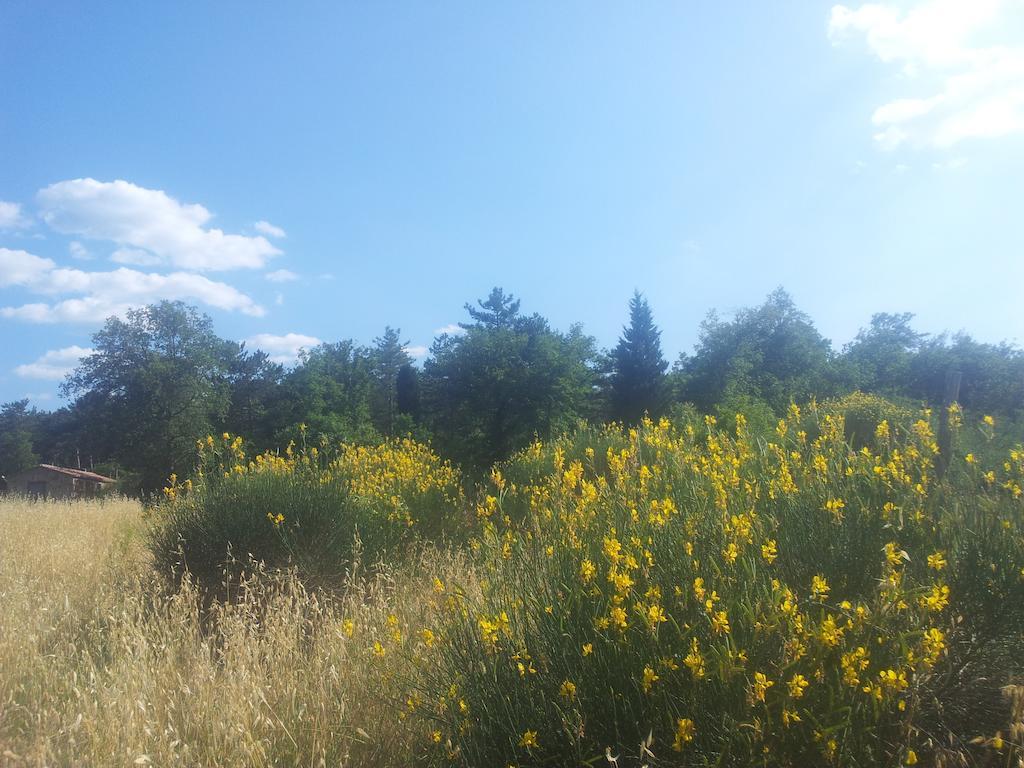 Agricampeggio Madonna Di Pogi Bucine Exterior foto